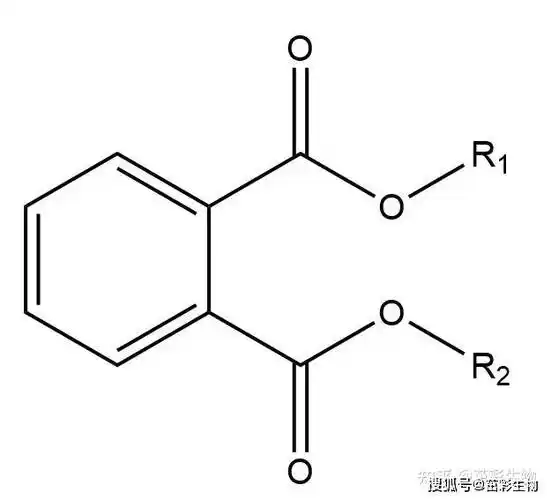 邻苯二甲酸酯测试